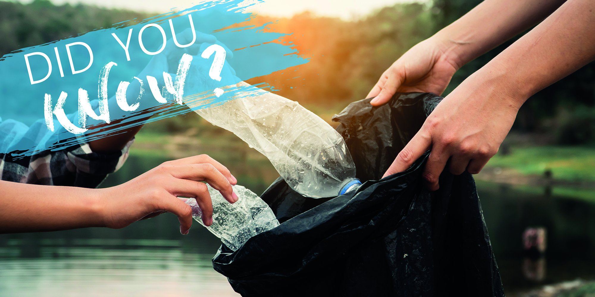 Did you know sustainybility campaign