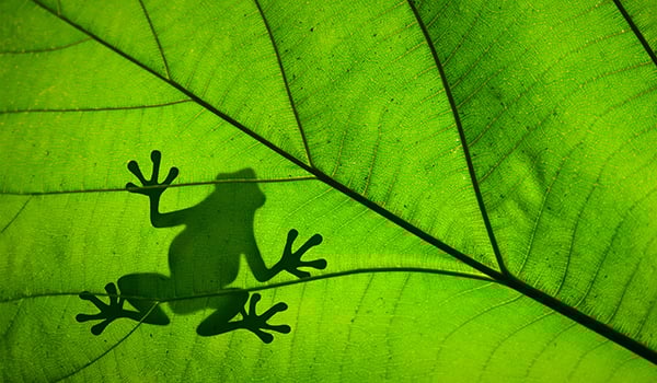 Sustainability