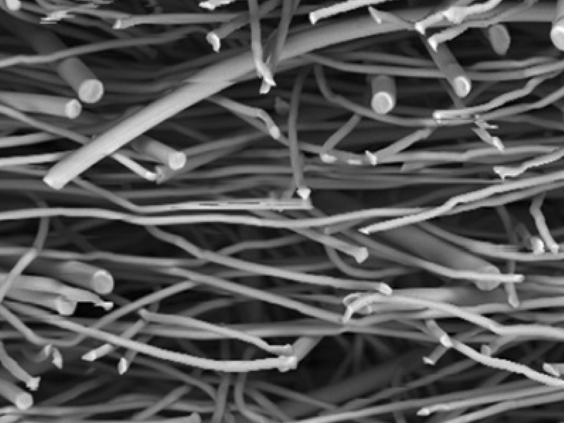 drylaid microscope