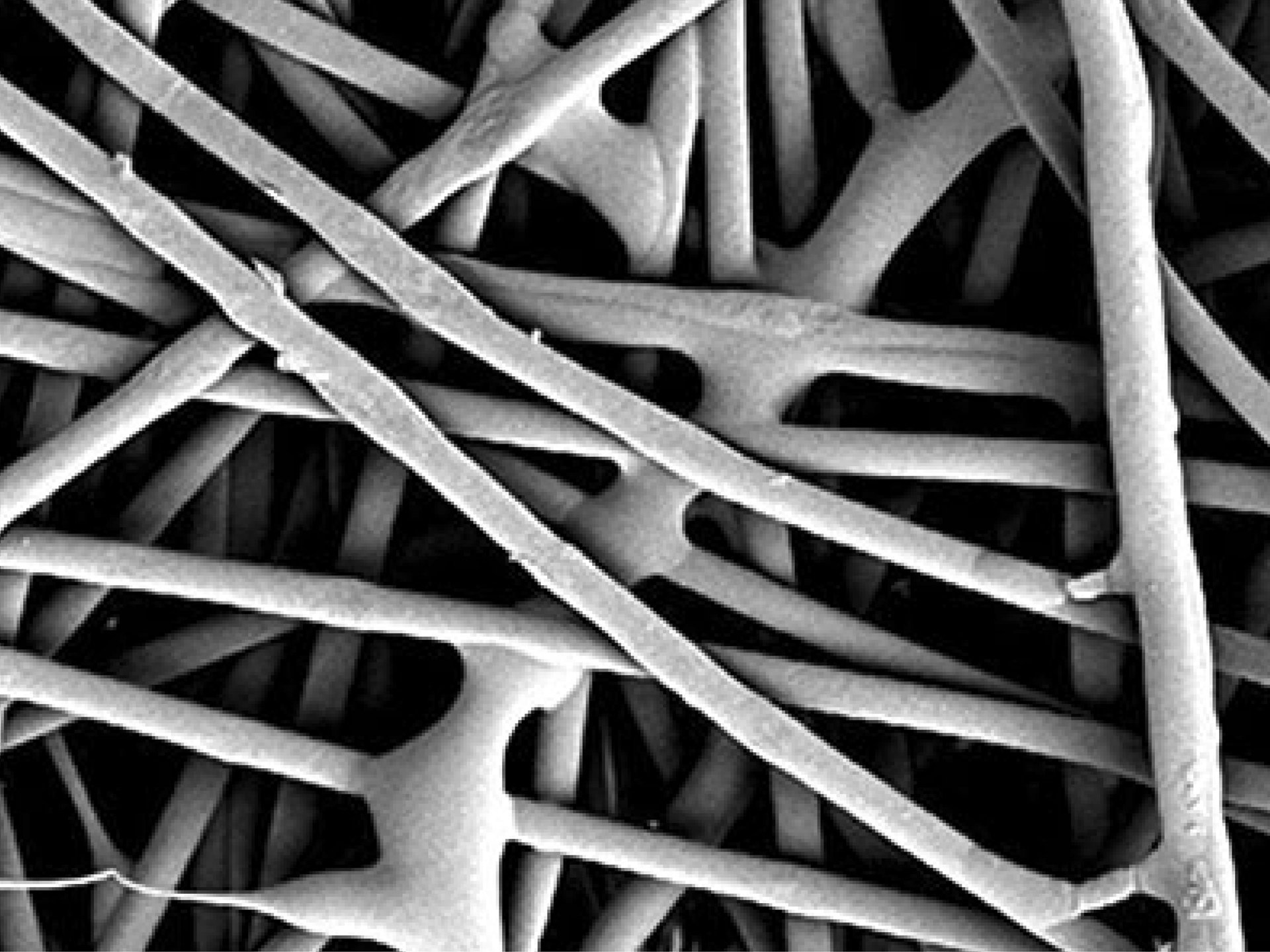 spunlaid microscope