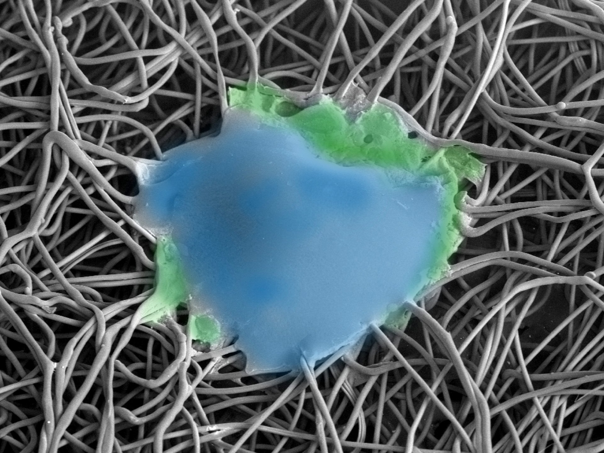 innovations historyslider 1992 3P technology